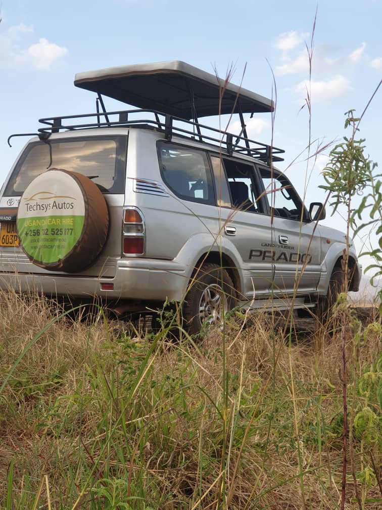 Best Car Hire Kenya